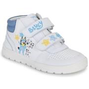 Hoge Sneakers Garvalin 251866-A050-J