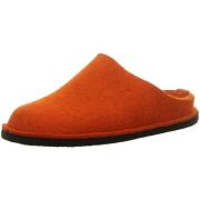 Pantoffels Haflinger -