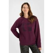 Sweater Le Temps des Cerises Sweater PAOLI