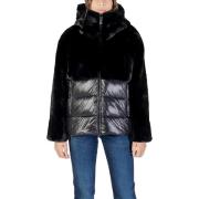 Windjack Blauer FANEVIL 25WBLDC02178