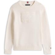 Trui Tommy Hilfiger Tommy Script Flag Tonal Sweate