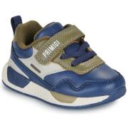 Lage Sneakers Primigi BABY MEGA
