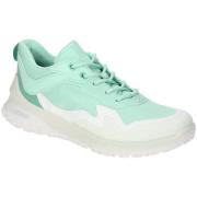 Lage Sneakers Ecco -
