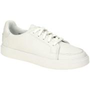 Lage Sneakers Timberland -