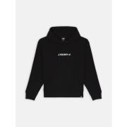 Sweater Dickies ENTERPRISE HD - DK0A4Z2N-BLK1 BLACK