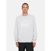 Sweater Dickies GRAPHIC HOODIE 3 - DK0A85ST-LHG1 HEATHER GRAY
