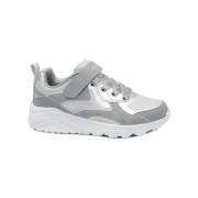 Lage Sneakers Skechers SKE-CCC-310380L-GYSL