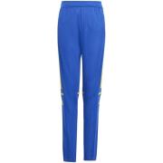 Broek adidas Sq25 Tr Pnt Y