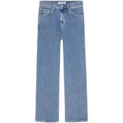 Jeans Tommy Hilfiger DW0DW14787
