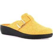 Klompen Grunland DSG-CI2961