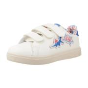 Lage Sneakers adidas ADVANTAGE DINO CF C