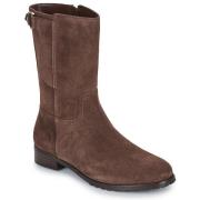 Enkellaarzen Lauren Ralph Lauren TASHA BOOTS