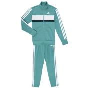 Trainingspak adidas Seasonal Essentials Tiberio 3-Stripes Tricot Track...