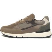 Sneakers NeroGiardini Arold Sauvage Taupe T.Dragon 5046 Savana B