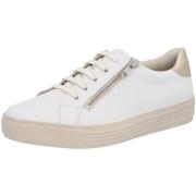 Instappers Solidus Kendal