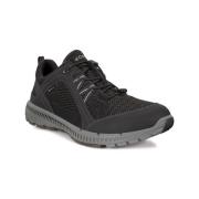 Lage Sneakers Ecco Terracruise Ll Gtx Tex