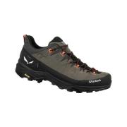 Wandelschoenen Salewa Alp Trainer 2