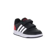 Lage Sneakers adidas Hoops 2 Cmf C