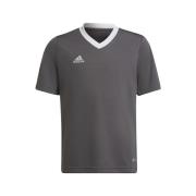 T-shirt Korte Mouw adidas Entrada 22 Jsy