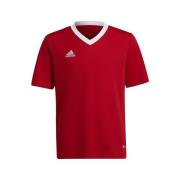 T-shirt Korte Mouw adidas Entrada 22 Jsy