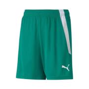Korte Broek Puma Teamliga