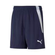 Korte Broek Puma Teamliga