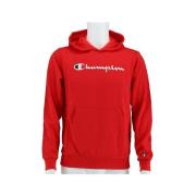 Sweater Champion Big Logo 2024