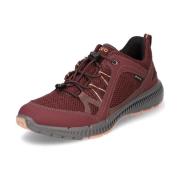 Lage Sneakers Ecco Terracruise II W Gtx Tex