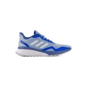 Lage Sneakers adidas Novafvse X