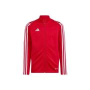 Sweater adidas Tiro 23 League Training JR