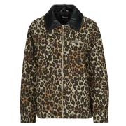 Windjack Only ONLIVRA CANVAS