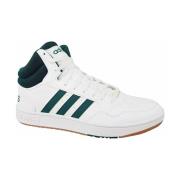 Laarzen adidas Hoops 3.0 Mid