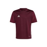 T-shirt Korte Mouw adidas IB4933
