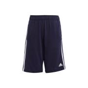 Korte Broek adidas Essentials 3-stripes Knit