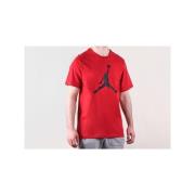 T-shirt Korte Mouw Nike Air Jordan Iconic