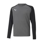 Sweater Puma Teampacer Gk