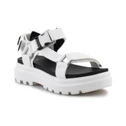 Sandalen Palladium Pallacruise Strap Star