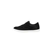 Lage Sneakers Ecco Leisure Oxford