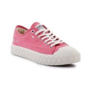Nette Schoenen Palladium Palla Ace Cvs Org