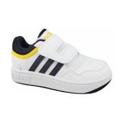 Lage Sneakers adidas Hoops 3.0 Cf