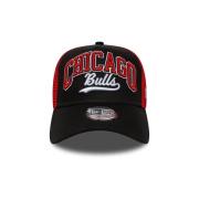 Pet New-Era 60667566