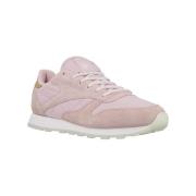 Lage Sneakers Reebok Sport CL Lthr Sea Worn