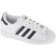 Lage Sneakers adidas adidas Superstar II J