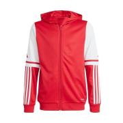 Sweater adidas Squadra 25