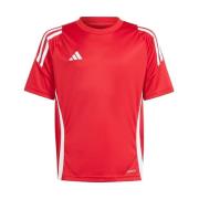 T-shirt Korte Mouw adidas IS1030