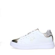 Lage Sneakers Sun68 Z45429T