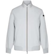 Windjack Rrd - Roberto Ricci Designs -