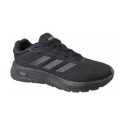 Lage Sneakers adidas Cloudfoam Comfy