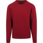 Sweater William Lockie Pullover O-neck Lamswol Dubonnet