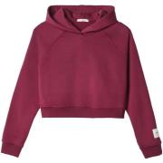 Sweater Hinnominate Cappuccio A Scatoletta Con Manica Raglan